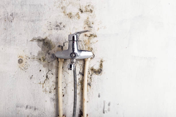 Water Damage Restoration in Leona Valley, CA