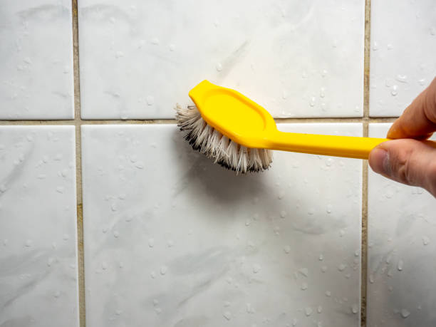Best Residential Mold Removal  in Leona Valley, CA