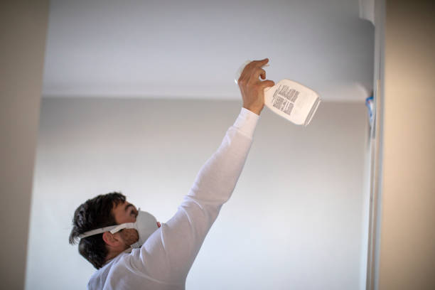 Best Water Damage Restoration  in Leona Valley, CA